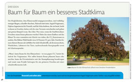 alverde-Sonderausgabe, Februar 2012, Ausgabe Dresden Nord und Mitte, S. 46
