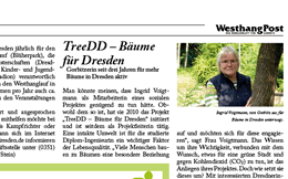 TreeDD – Bäume für Dresden, Gorbitzerin seit drei Jahren für mehr Bäume in Dresden aktiv