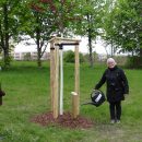 Projektleiterin Ingrid Voigtmann gießt den 44. Baum an