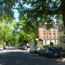 Eichen Pohlandstraße (ND)